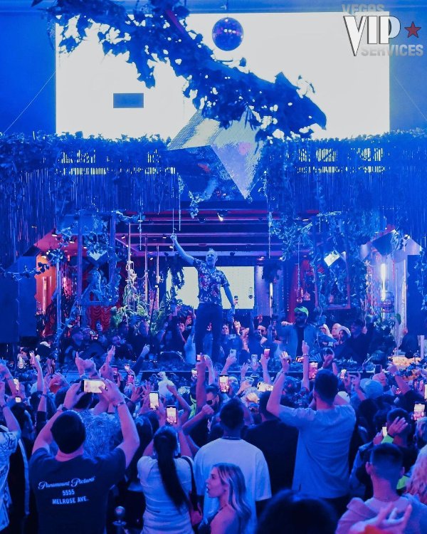 las vegas nightout
