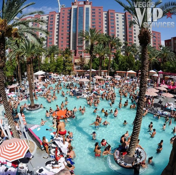 vegas-pool-party